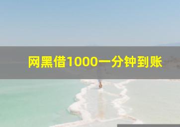 网黑借1000一分钟到账