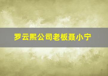 罗云熙公司老板聂小宁