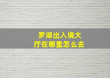 罗湖出入境大厅在哪里怎么去