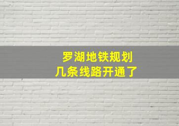 罗湖地铁规划几条线路开通了