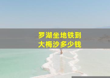 罗湖坐地铁到大梅沙多少钱