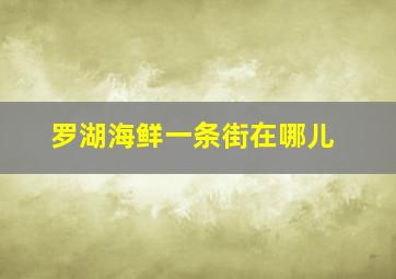 罗湖海鲜一条街在哪儿