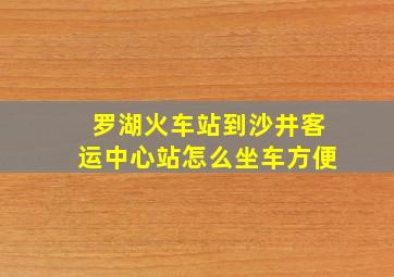 罗湖火车站到沙井客运中心站怎么坐车方便