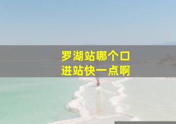 罗湖站哪个口进站快一点啊