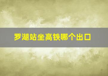 罗湖站坐高铁哪个出口