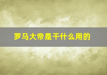 罗马大帝是干什么用的