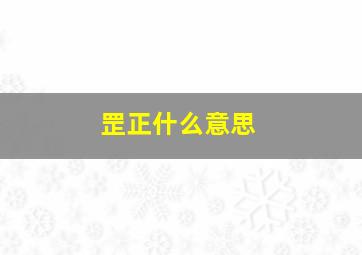 罡正什么意思