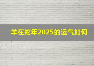 羊在蛇年2025的运气如何