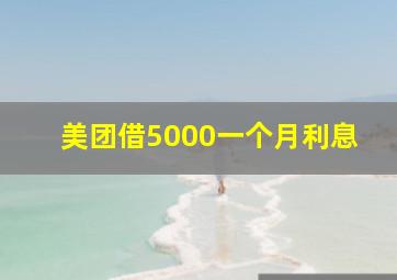 美团借5000一个月利息