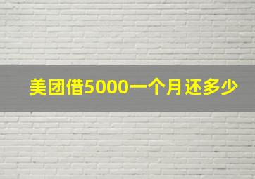 美团借5000一个月还多少