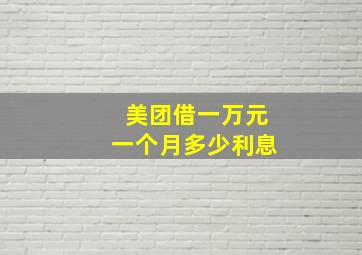 美团借一万元一个月多少利息