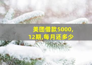 美团借款5000,12期,每月还多少