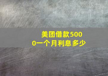 美团借款5000一个月利息多少