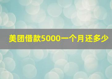 美团借款5000一个月还多少