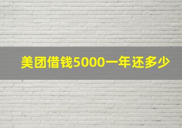 美团借钱5000一年还多少