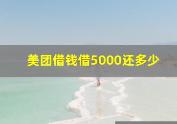 美团借钱借5000还多少