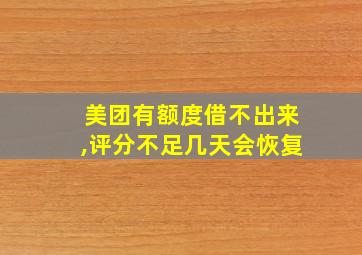 美团有额度借不出来,评分不足几天会恢复