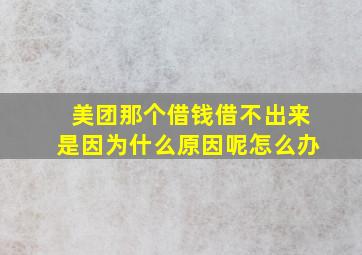 美团那个借钱借不出来是因为什么原因呢怎么办