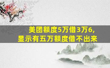 美团额度5万借3万6,显示有五万额度借不出来