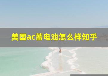 美国ac蓄电池怎么样知乎