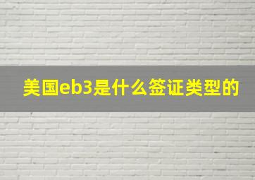 美国eb3是什么签证类型的