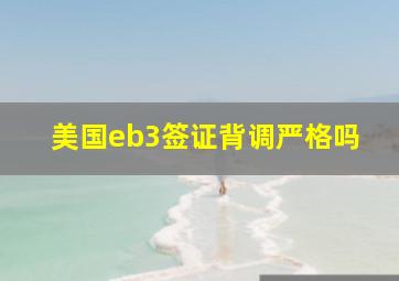 美国eb3签证背调严格吗