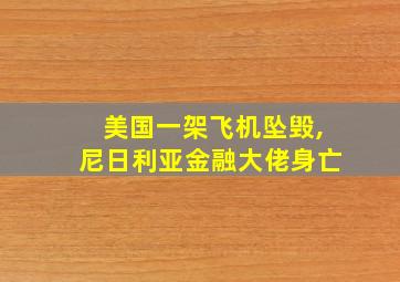 美国一架飞机坠毁,尼日利亚金融大佬身亡