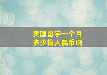 美国留学一个月多少钱人民币啊