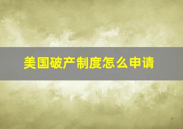 美国破产制度怎么申请