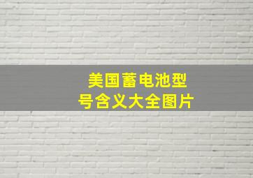 美国蓄电池型号含义大全图片