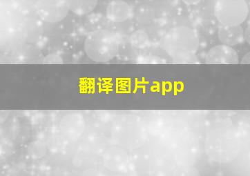 翻译图片app