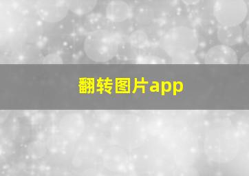 翻转图片app