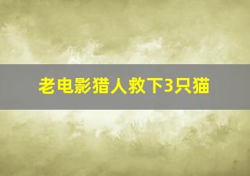 老电影猎人救下3只猫