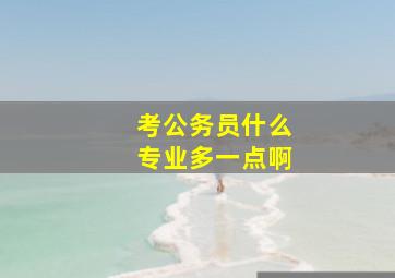 考公务员什么专业多一点啊