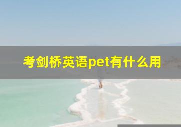 考剑桥英语pet有什么用