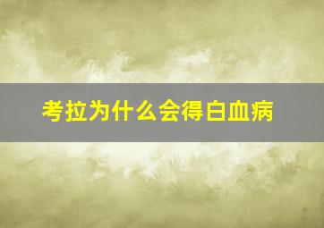 考拉为什么会得白血病