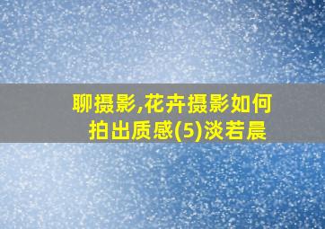 聊摄影,花卉摄影如何拍出质感(5)淡若晨