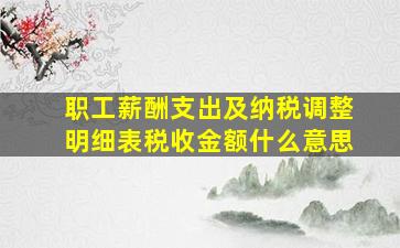 职工薪酬支出及纳税调整明细表税收金额什么意思