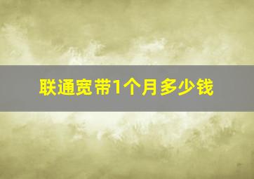 联通宽带1个月多少钱