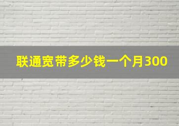 联通宽带多少钱一个月300