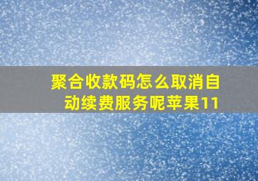 聚合收款码怎么取消自动续费服务呢苹果11