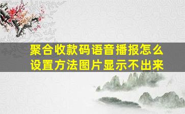 聚合收款码语音播报怎么设置方法图片显示不出来