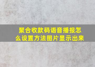 聚合收款码语音播报怎么设置方法图片显示出来