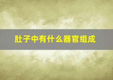 肚子中有什么器官组成