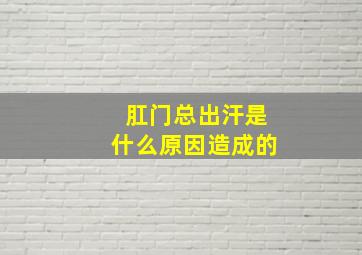 肛门总出汗是什么原因造成的