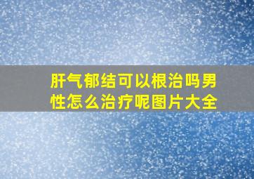 肝气郁结可以根治吗男性怎么治疗呢图片大全