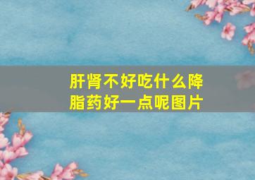 肝肾不好吃什么降脂药好一点呢图片