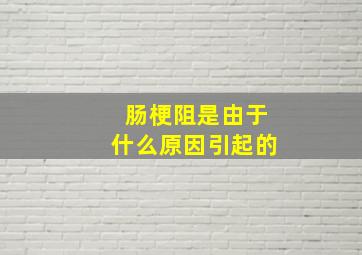 肠梗阻是由于什么原因引起的