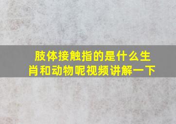 肢体接触指的是什么生肖和动物呢视频讲解一下