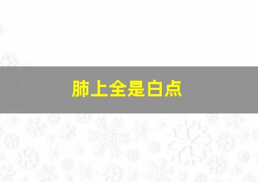 肺上全是白点